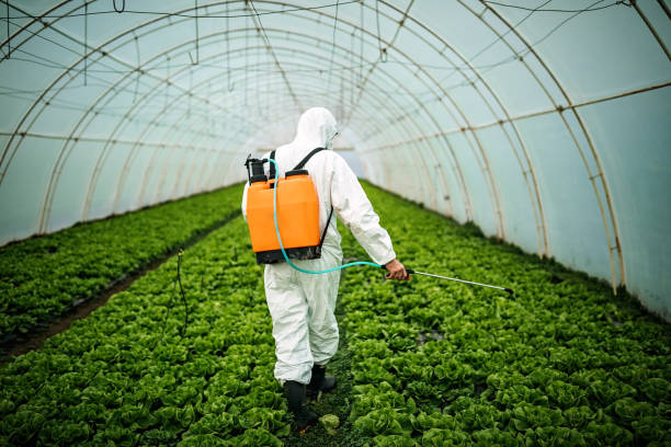 Best Mosquito Control Services  in Guerneville, CA