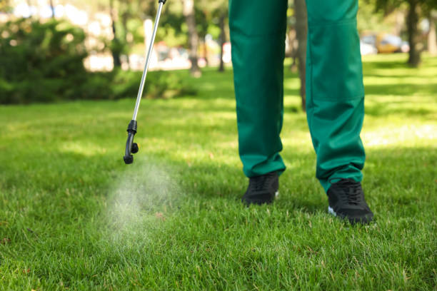 Best Affordable Exterminators  in Guerneville, CA