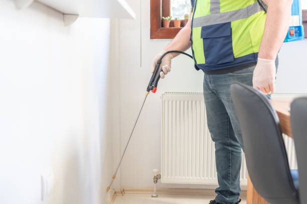 Best Flea Control Services  in Guerneville, CA