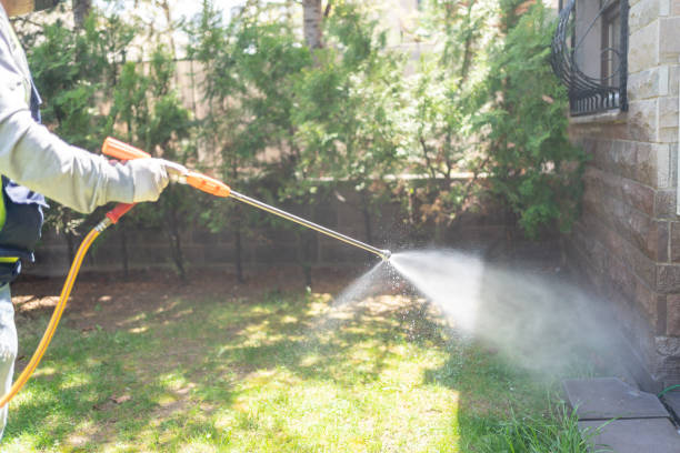 Best Termite Control Services  in Guerneville, CA
